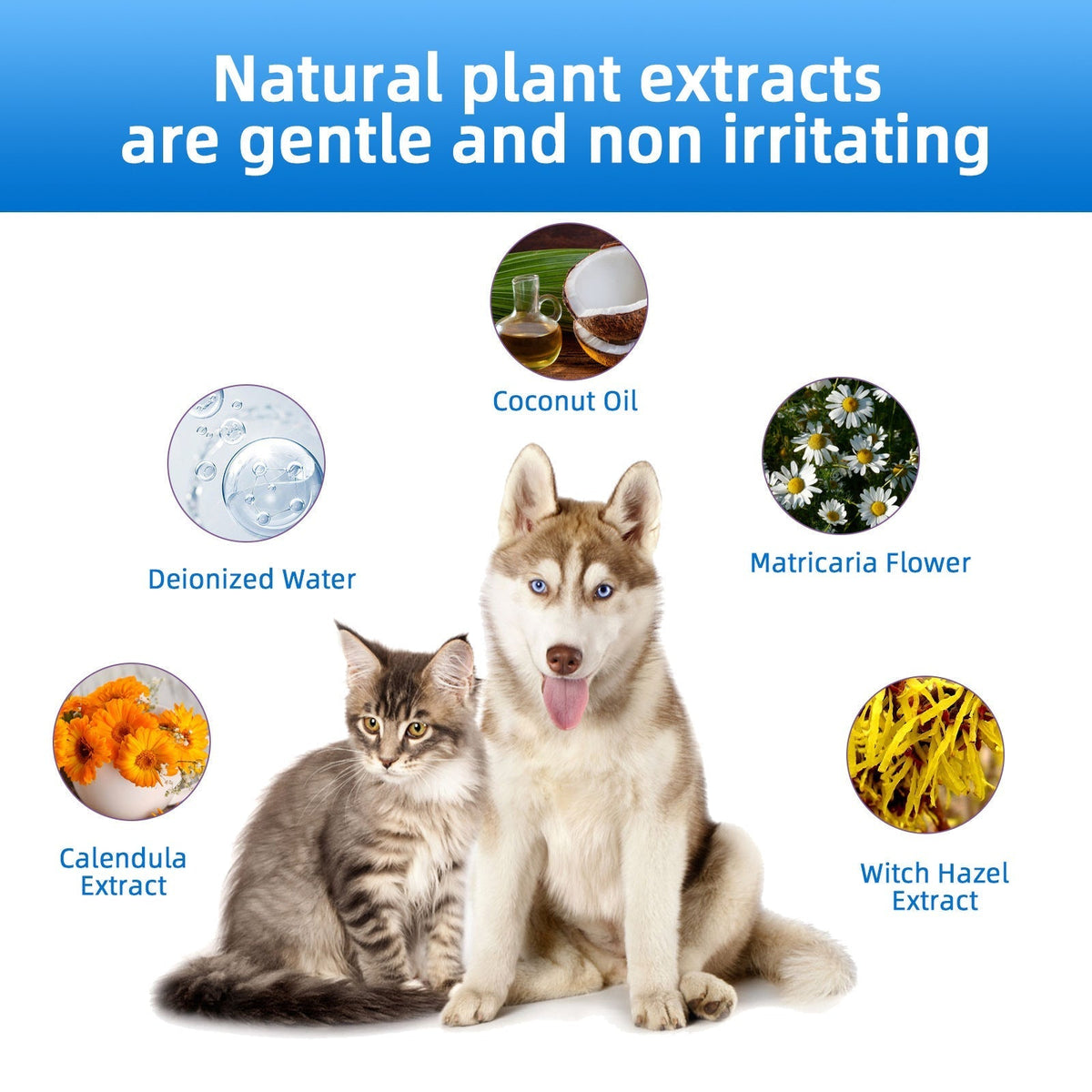 Pet Ear Cleaner | Relieves Itching in Dogs & Cats
