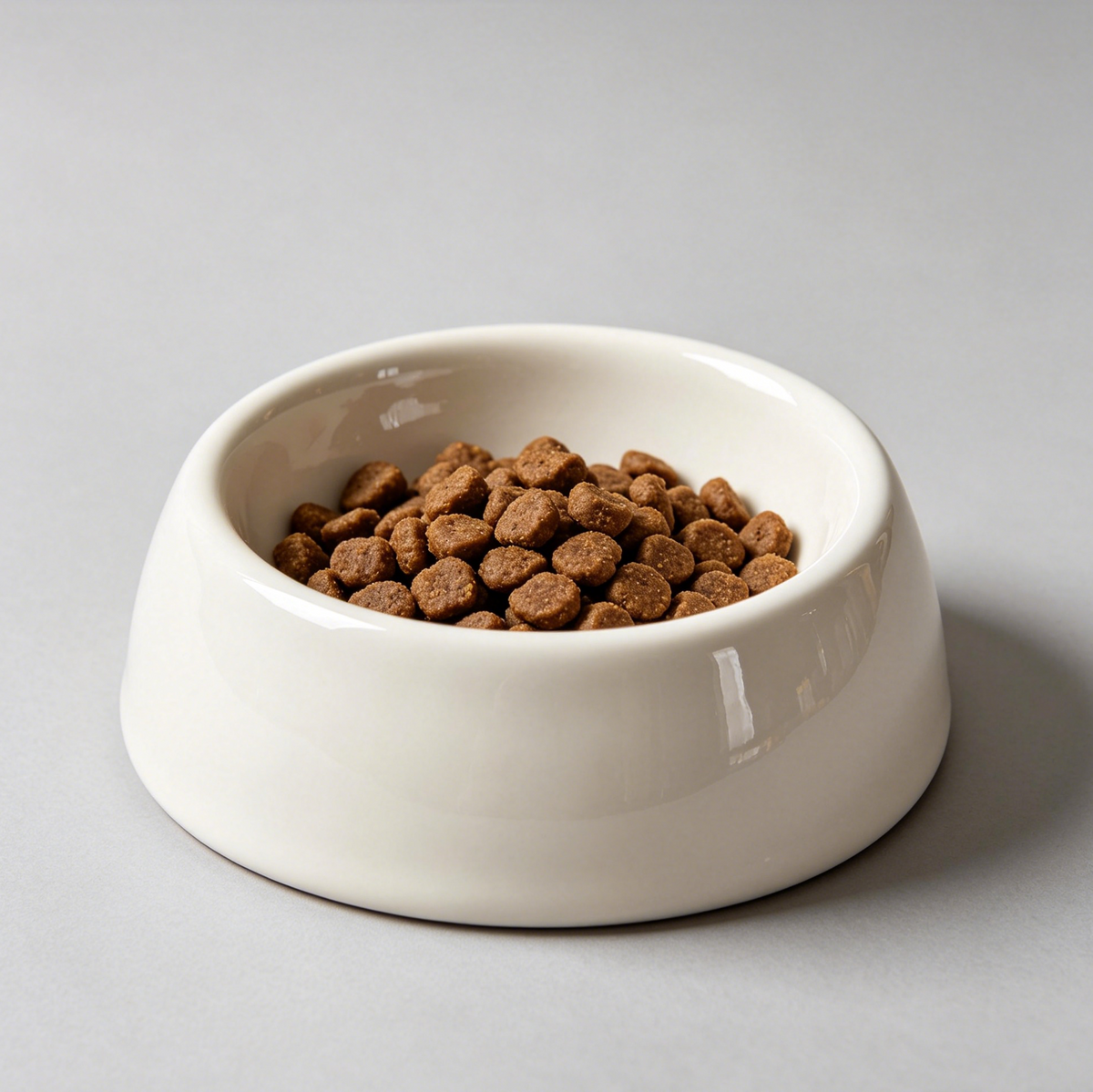 Premium Ceramic Pet Bowl