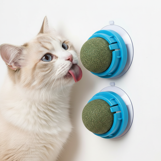 Cat Catnip Wall Ball - Blue